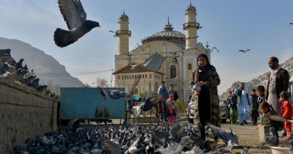 Fearful under Taliban rule, some Afghan families in Kabul anxiously await evacuation to the U.S.