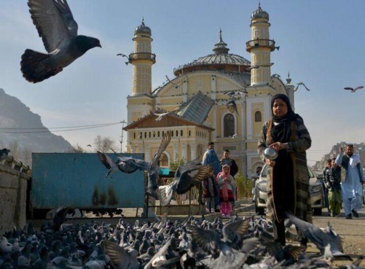 Fearful under Taliban rule, some Afghan families in Kabul anxiously await evacuation to the U.S.