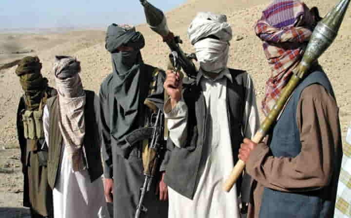 Analysts: Afghan Taliban do little to stop Pakistan fighters