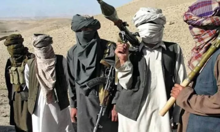 Senior Pakistani Taliban leader killed in Afghanistan: Official