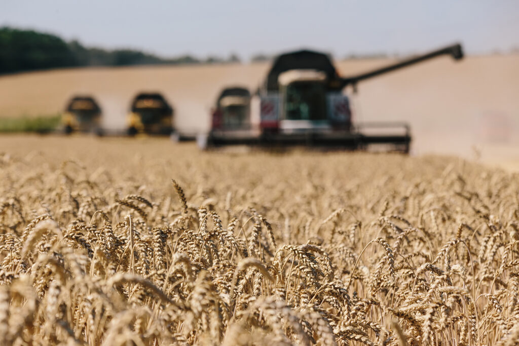 Russia's invasion of Ukraine disrupts global wheat market, raises hunger fears