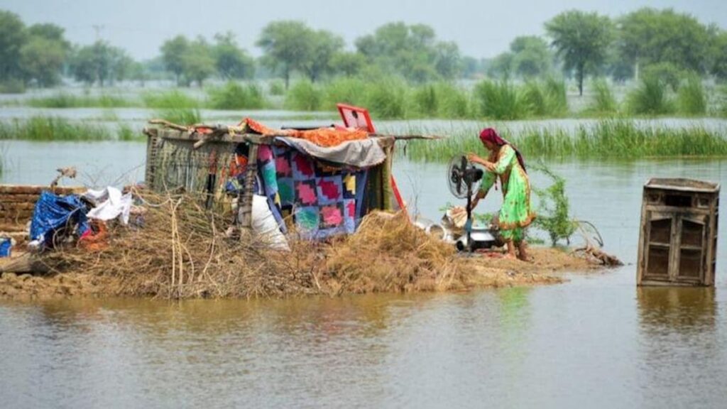 UN, Pakistan launch fresh appeal seeking USD 800 mn for rehabilitation of flood victims