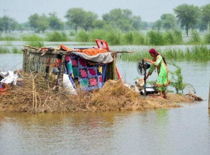 UN, Pakistan launch fresh appeal seeking USD 800 mn for rehabilitation of flood victims