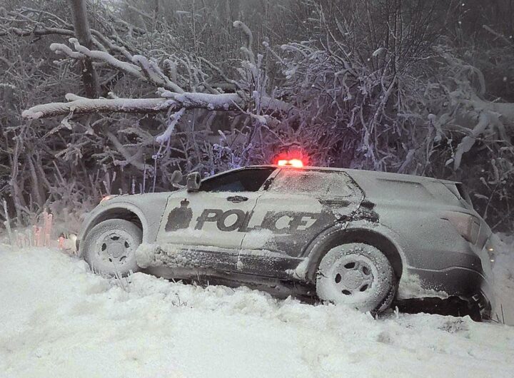 Woman, 22, dies after getting stuck in car for 18 hours in US blizzard; sent final video of snow