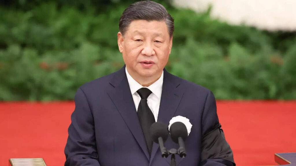 China masses take Covid fight into own hands as Xi sits back