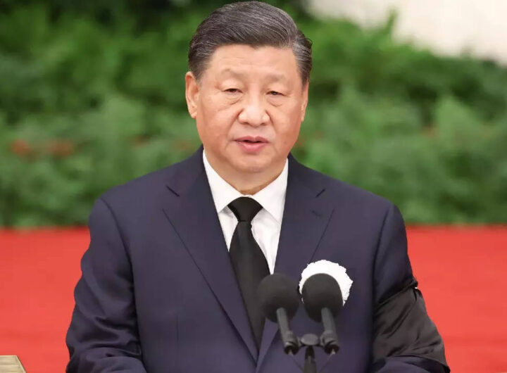 China masses take Covid fight into own hands as Xi sits back