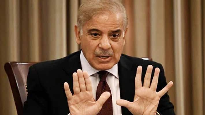 Pakistan PM Shehbaz Sharif to high-level SCO meet in Goa