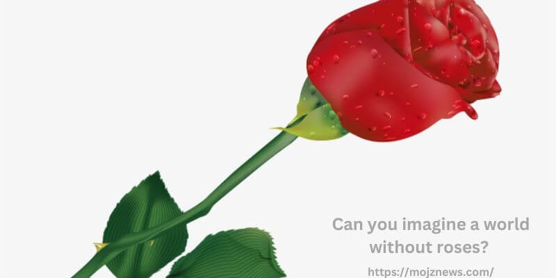Can you imagine a world without roses?