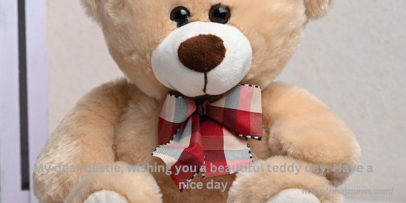 My dear bestie, wishing you a beautiful teddy day. Have a nice day.
